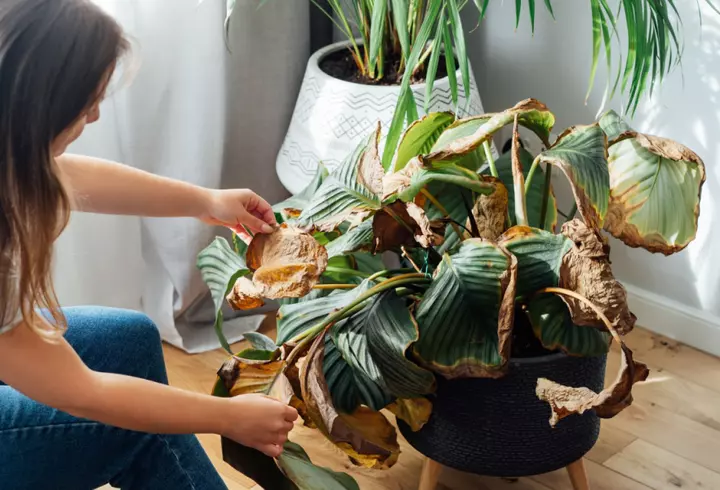 Escapadă epică în Atena. Ponturi pentru o vacanță de vis la poalele Acropolei, locul unde istoria prinde viață și gastronomia de cuerește