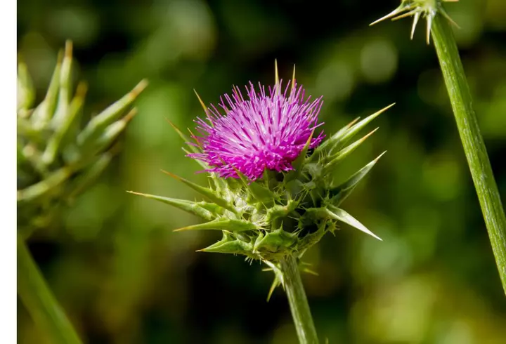 Cum să încetinești îmbătrânirea biologică fără diete drastice sau suplimente inutile
