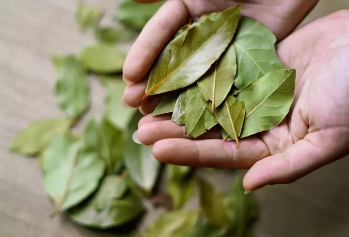 Mesaje de Dragobete 2026 – ce să îi scrii iubirii tale de Dragobete