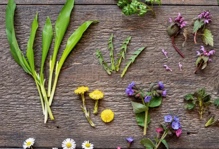 Cum să gătești fasolea ca să eviți balonarea