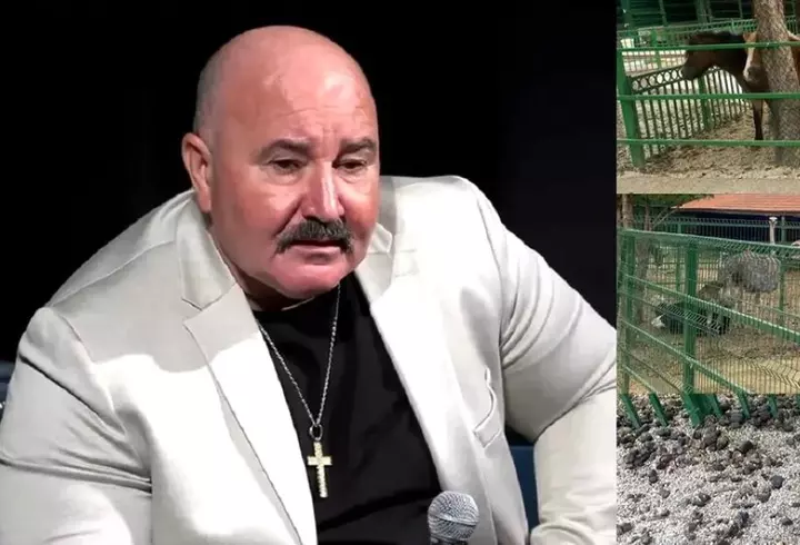 Cine o înlocuiește pe Geanina Ilieș la Antena Stars. La pupitrul știrilor mondene vine o prezentatoare cu 23 de ani de experiență