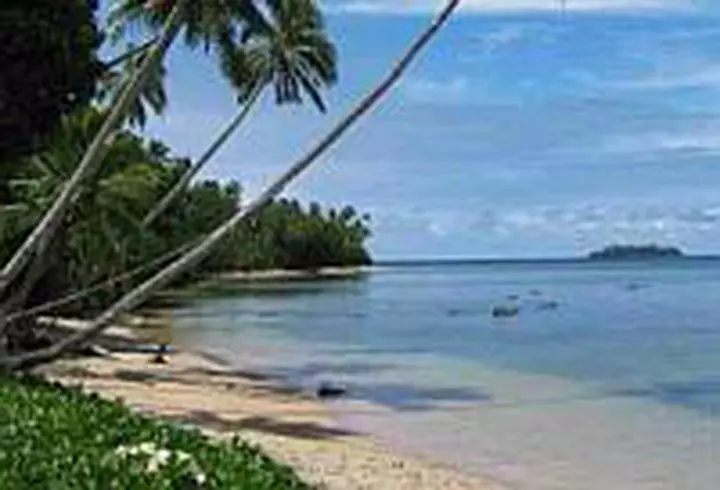 Robert Draper - Fara umbra de indoiala - Presedintia lui George W. Bush