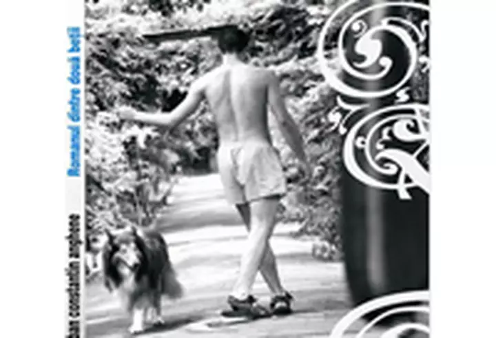 Milan Kundera - Arta romanului