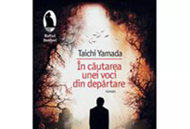 Milan Kundera - Arta romanului