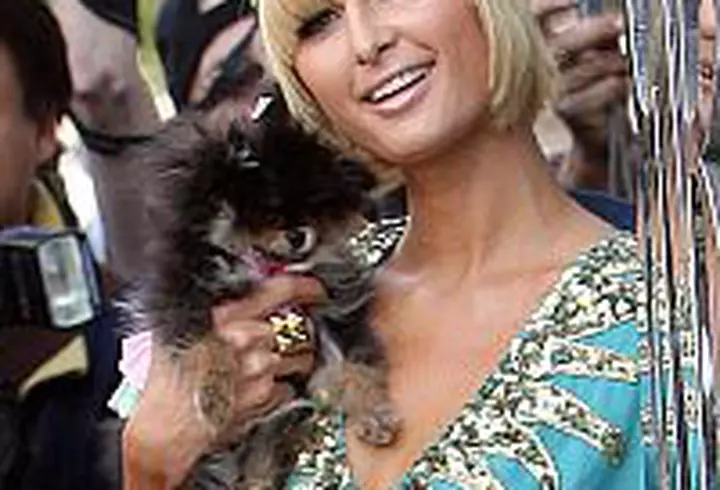 Higher Ground, o expozitie Cornel Lazia