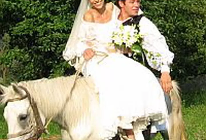 Amfitrion - Gabi Szabo