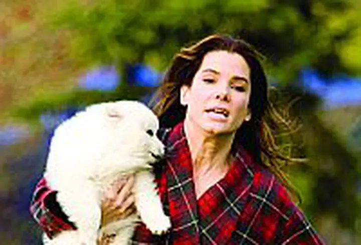 Valentine's Day - VIDEO