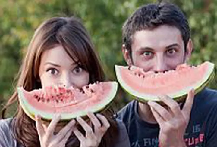 Mihai Dobrovolschi - La casa de vacanta de la Ciolpani