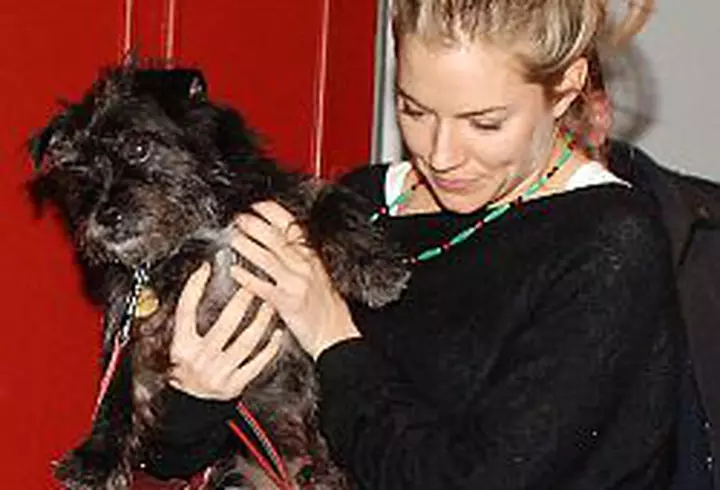 ASR Principesa Margareta - Despre Craciunurile in Familia Regala