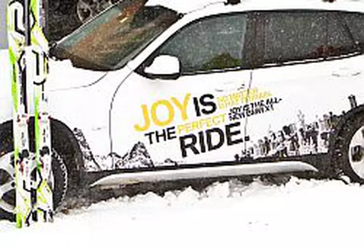 Produsele cu Ginkgo biloba imbunatatesc circulatia la nivel cerebral