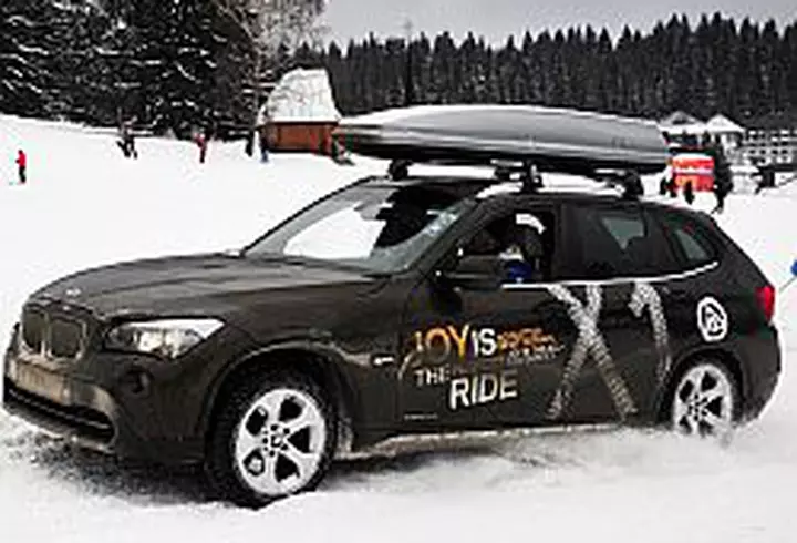 Produsele cu Ginkgo biloba imbunatatesc circulatia la nivel cerebral