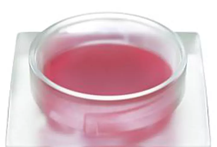 Make Up For Ever lanseaza High Definition Blush