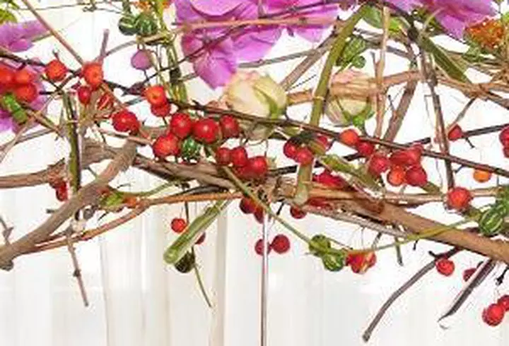 Diana Dumitrescu - Fotografii sexy pentru sotul ei