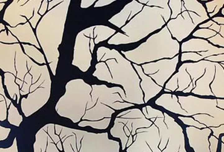 Despicable Me - VIDEO