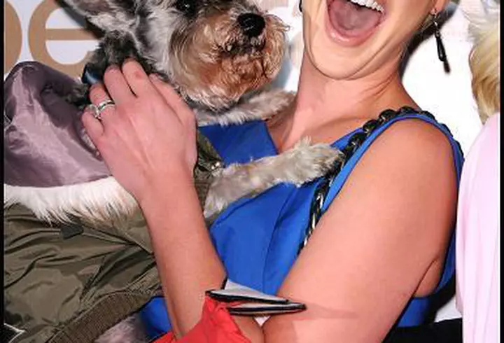 Cu un pas mai aproape de Premiile Oscar: pranzul nominalizatilor 2012