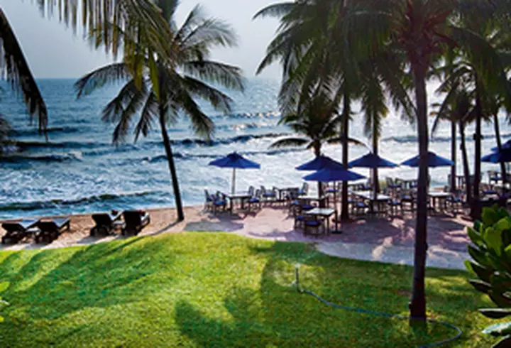 Tokyo: Printre zgarie-nori si sanctuare