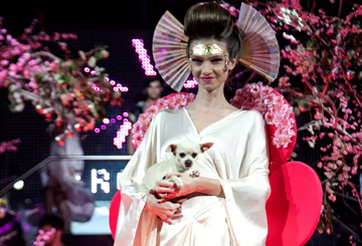 Printul Felipe al Spaniei a fost pentru cateva ore in Bucuresti