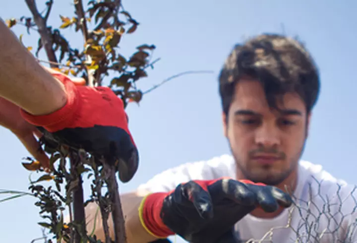 Printul Felipe al Spaniei a fost pentru cateva ore in Bucuresti