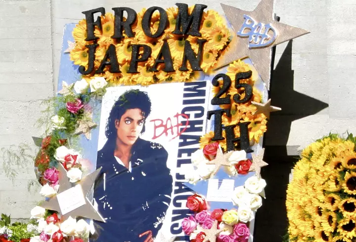 Amfitrion - Acasa la Diana Sucu