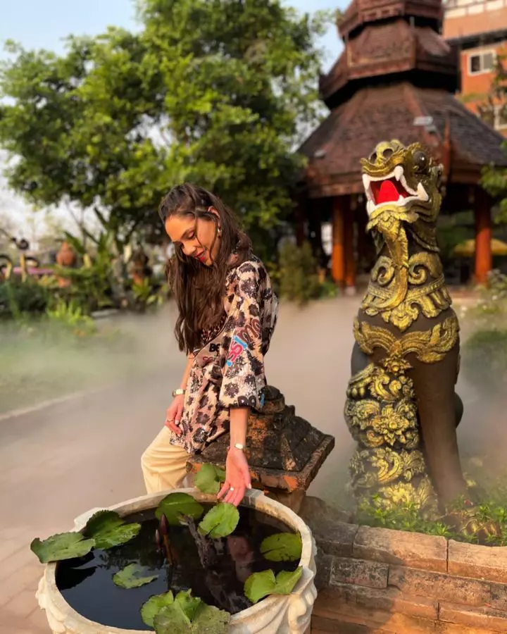 irina fodor thaișanda