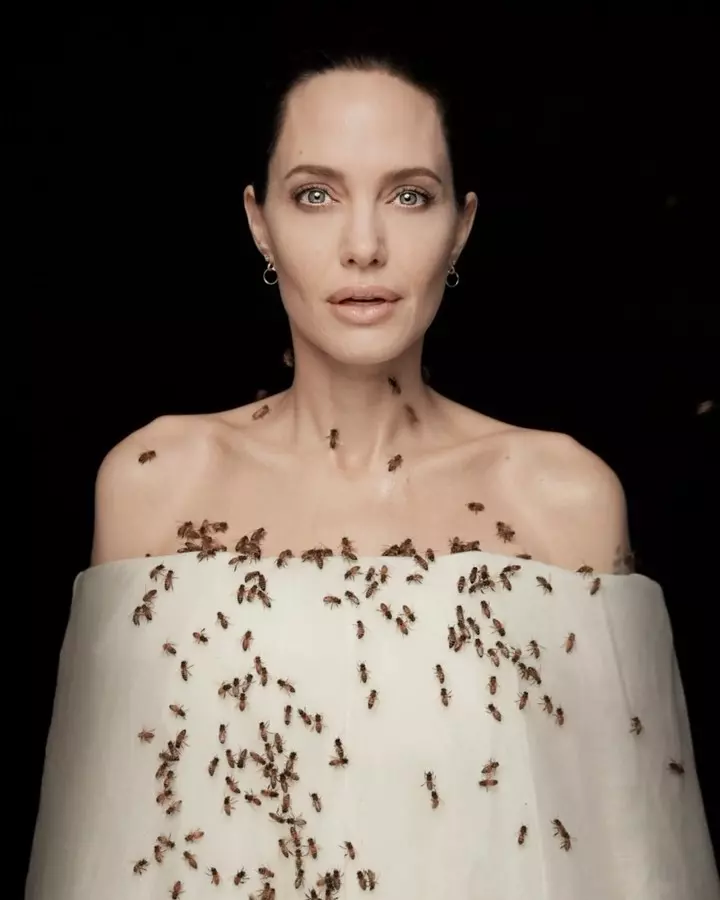 Angelina Jolie şochează cu ultimul său proiect