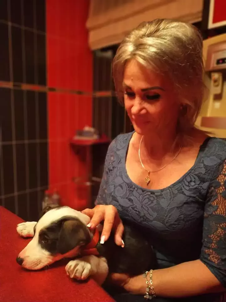 184651305_1233242377133399_6328659553434375104_n