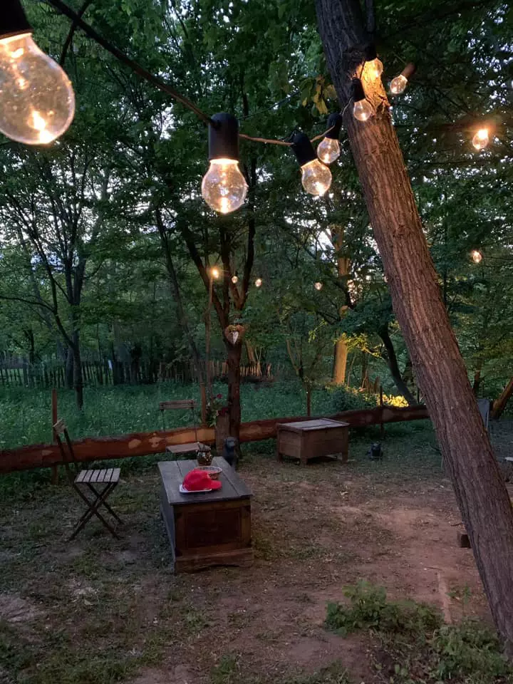 Mihaela Bilic și-a construit cabană pe Valea Prahovei (2)