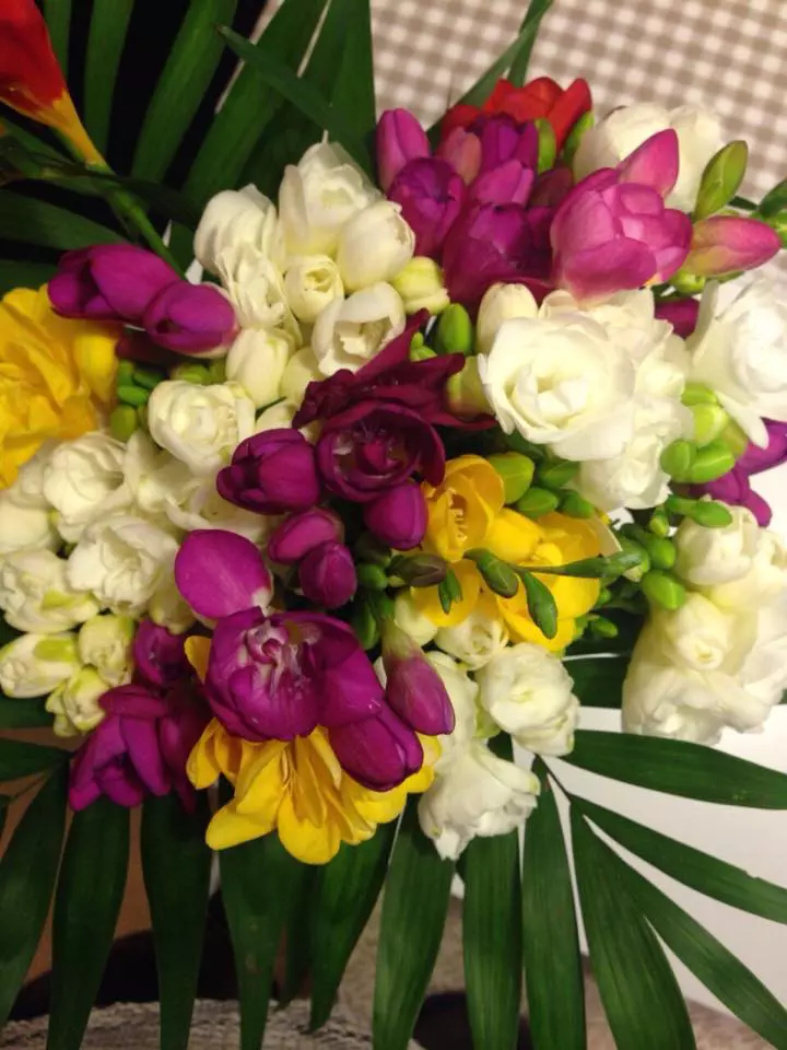 Fotografia postata de Iulia Vantur