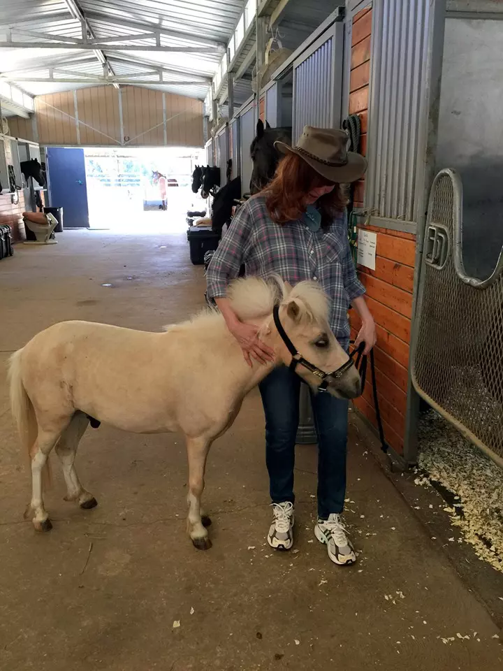 Victoria Principal şi-a deschis o fermă unde sunt salvate şi îngrijite animale