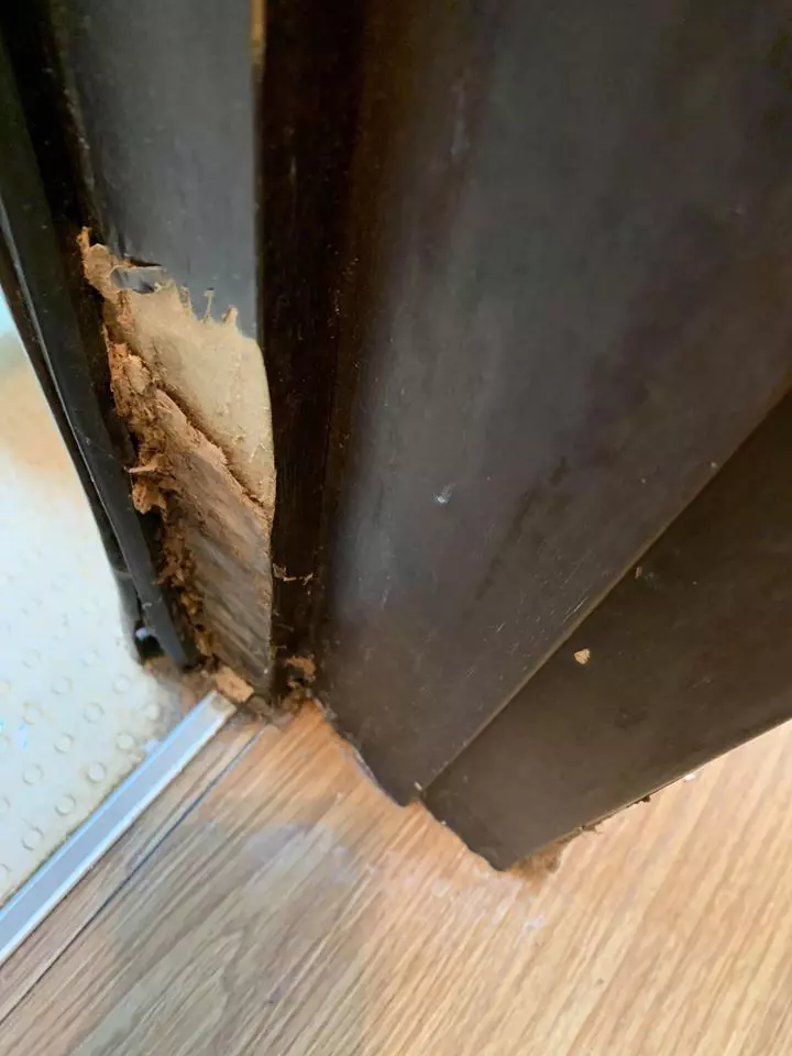 Romanca-Marea-Britanie-2