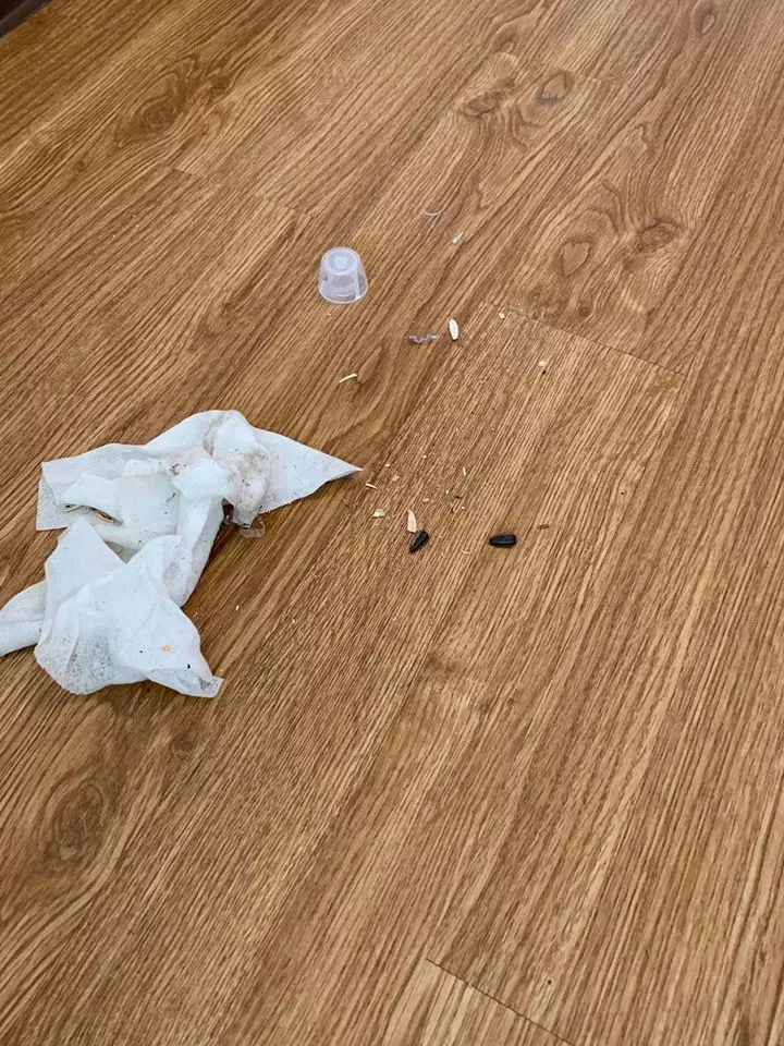 Romanca-Marea-Britanie-6