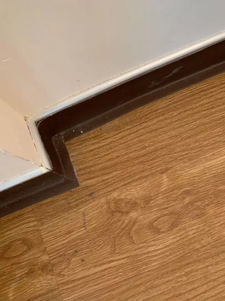 Romanca-Marea-Britanie-7