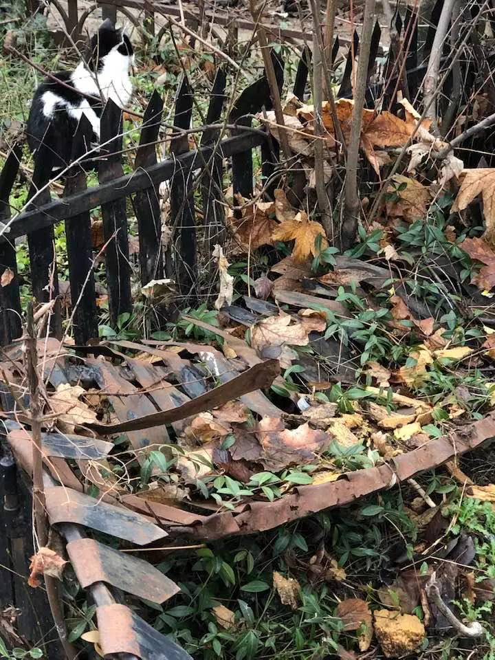 Oana Pellu la cimitirul Bellu