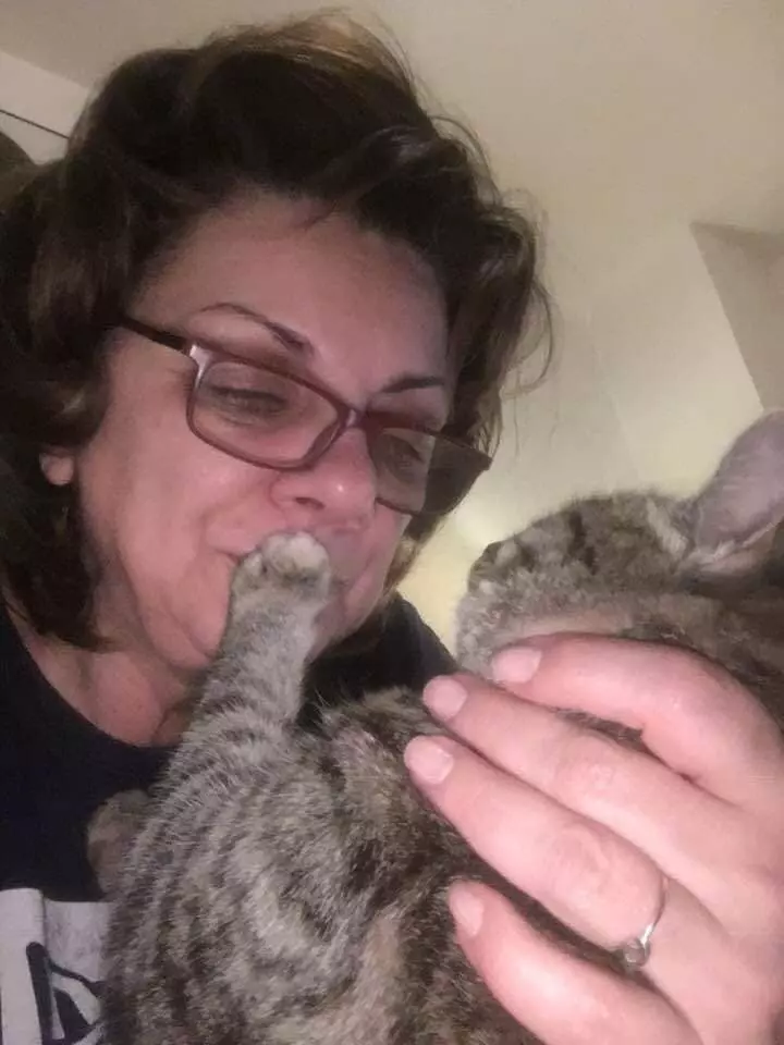 48383245_142279153427029_8354337197519798272_n