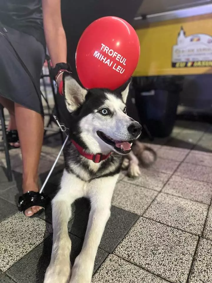 546802862_4305545436383792_7308969305166289434_n