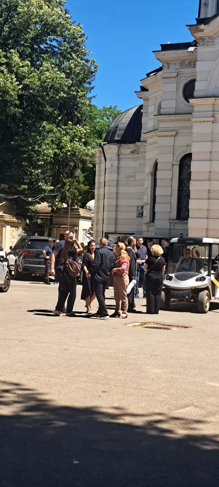 inmormantare ion cernea
