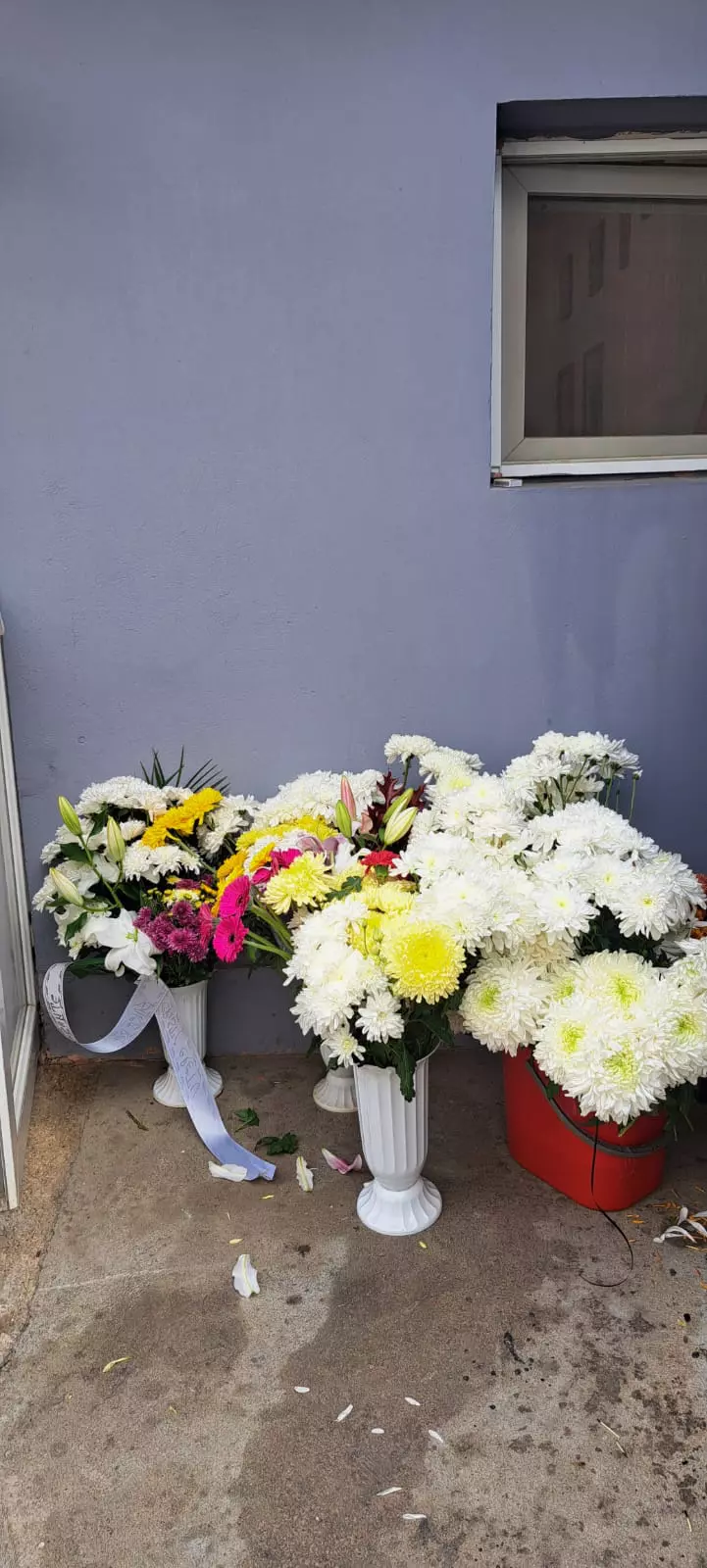inmormantare marinela chelaru5