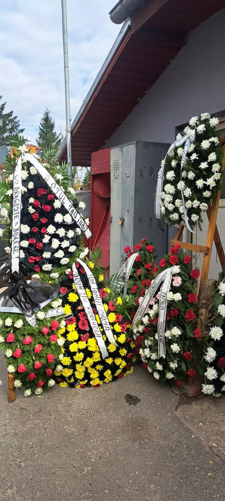 inmormantare marinela chelaru8
