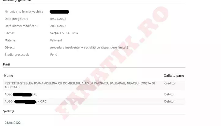 adelina-pestritu-bani-92