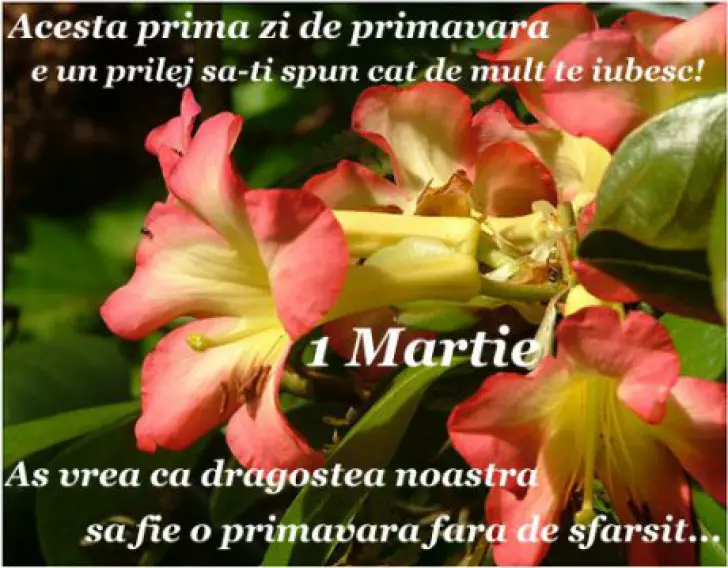 mesaje-felicitari-1-martie-1_88501700-1