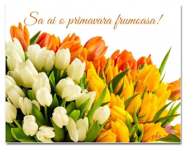 Mesaje-SMS-uri-și-felicitări-de-1-martie-și-mărțișor-pentru-toate-femeile-din-viața-ta-1-1