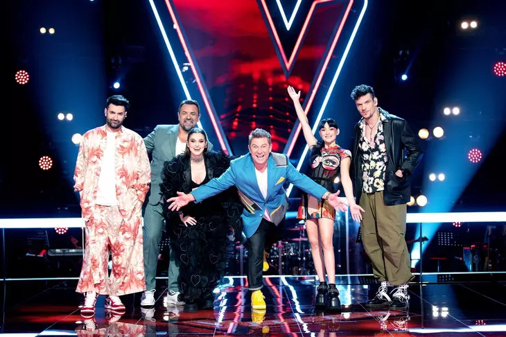 vocea-romaniei-smiley-horia-theo-pavel-irina-tudor