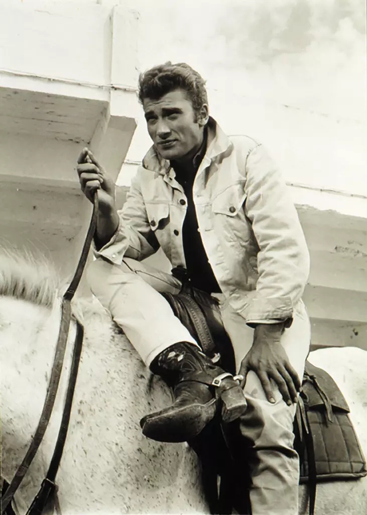 D’OÙ VIENS-TU JOHNNY ?