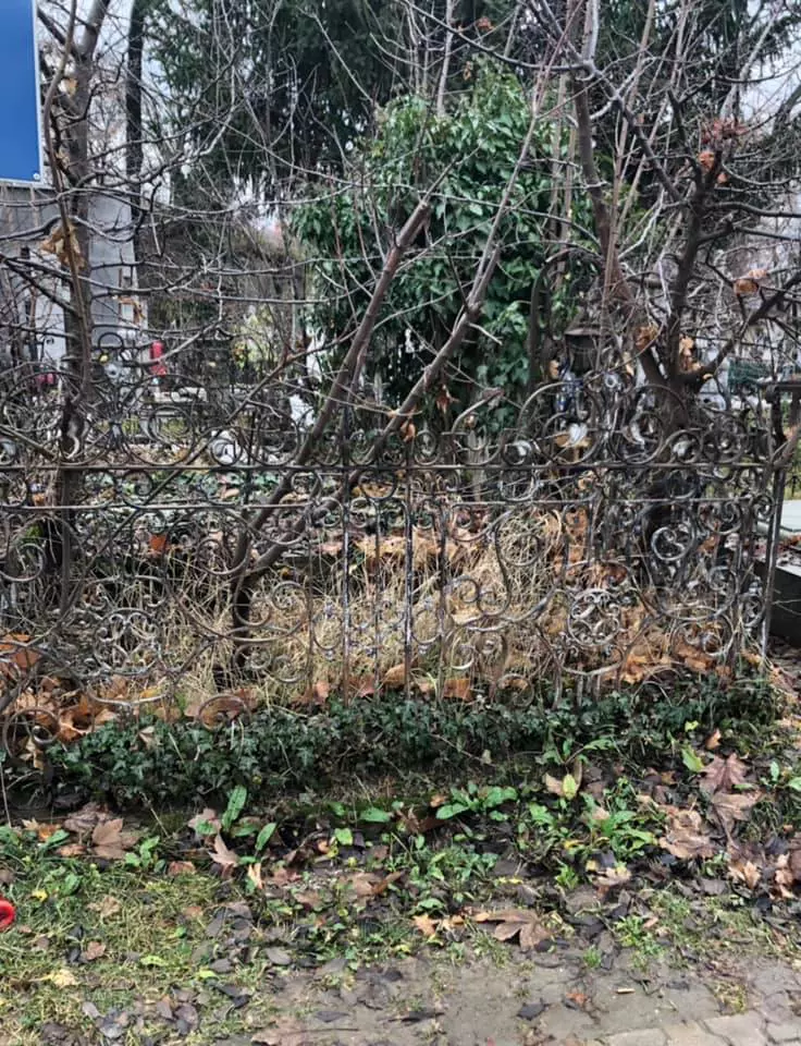 Cimitirul Bellu Capitala