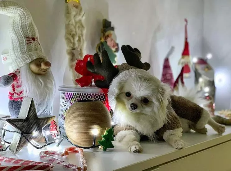 Lidia Buble decoratiune Craciun