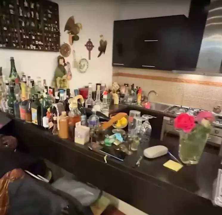 casa-serghei-mizil-snagov-13