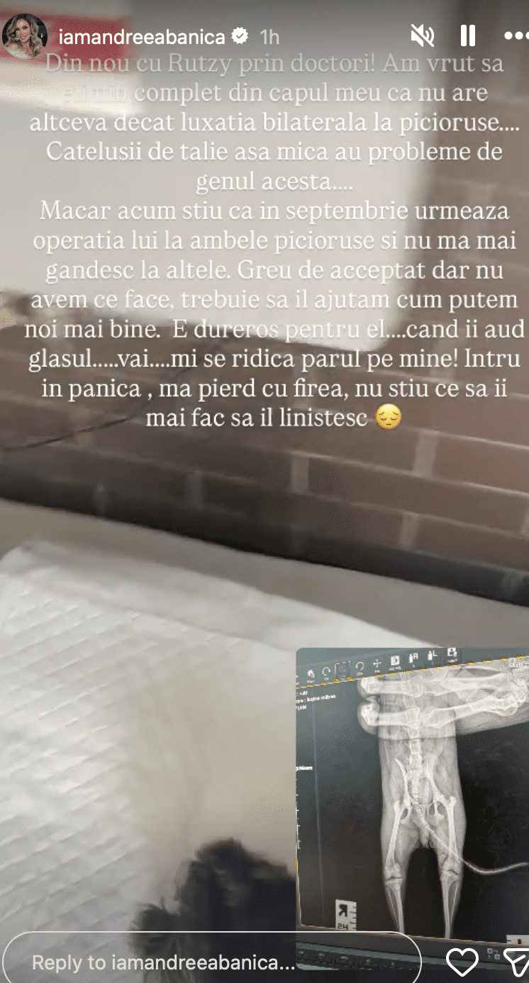Andreea Bănică și Rutzy (2)
