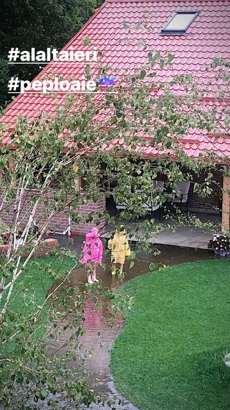Imagini din locuința Mirelei Vaida
