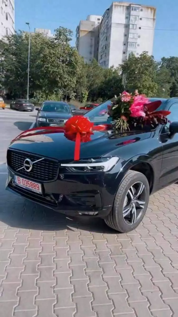 alex-leonte-surpriza-theo-rose-1