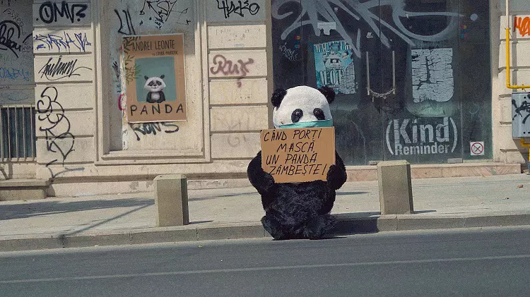 artwork panda kind reminder andrei leonte